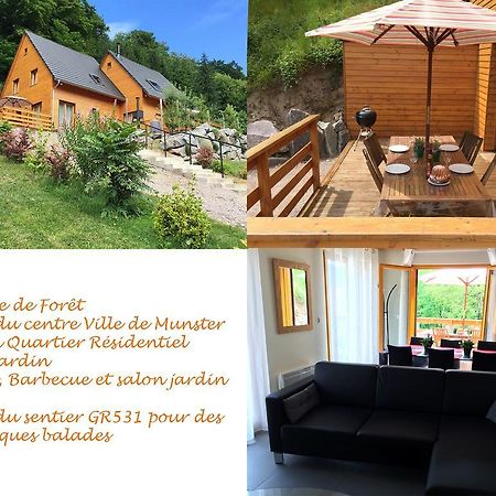 Le Chalet La Cigogne Et Le Chamois Munster  Exteriér fotografie